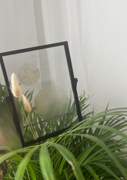 Plazentakunst - Amnionmonde